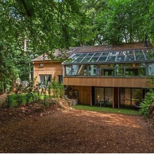 5 Star Luxury Woodland Retreat Sleeps 12 Hot Tub Sauna Villa Clapton in Gordano Exterior photo