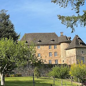 Castle In The Beautiful French Countryside With All Modern Comfort Villa Terrou Exterior photo