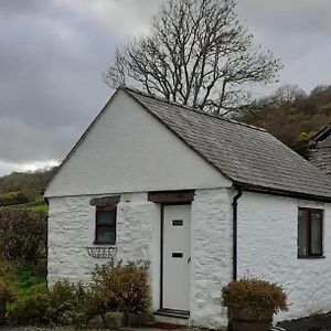 Y Llew Bach, The Tiny House Villa Gwytherin Exterior photo