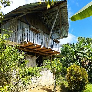 La Munequita Lodge 1 - Culture & Nature Experience Palmar Norte Exterior photo