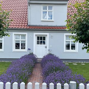 Haus Vicus Apartment Greifswald Exterior photo