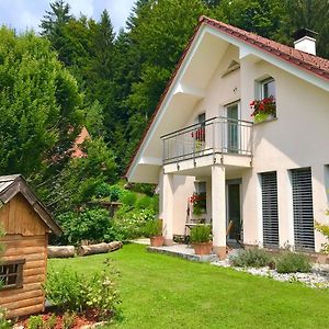 Homeslovenia - Your Home In The Heart Of Slovenia Selca Exterior photo