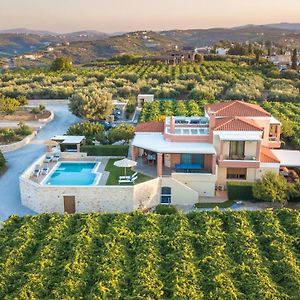 Cretan Vineyard Hill Villa 2 Ano Kalesia Exterior photo