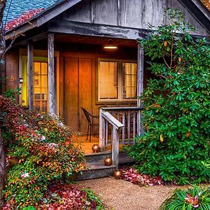 Love Ridge Mountain Lodging Villa Lyndhurst Exterior photo