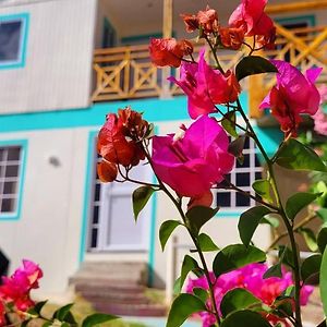 Colorful Garden House Bed & Breakfast Providencia  Exterior photo
