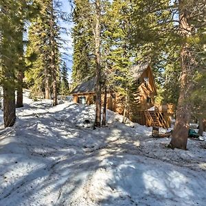 Bear Valley Cabin - Ski To Cross Country Trails! Villa Tamarack Exterior photo