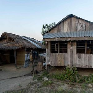 Ayodhyapuri Community Homestay Chitwan Exterior photo