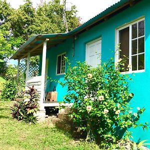 Easymans' Winifred Beach Chalets Port Antonio Exterior photo