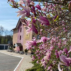 Obiekt "Czarny Rycerz" Aparthotel Jastrzębie Zdrój Exterior photo