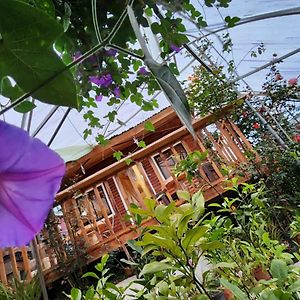 Cabana En Vivero, Dota, Jardin Villa Exterior photo