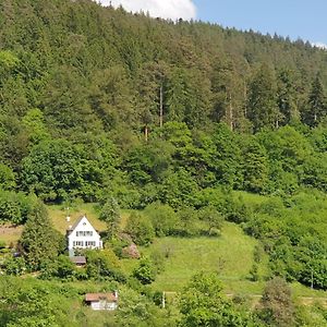 Ferienhaus Waldglueck Villa Calw Exterior photo