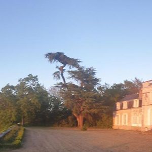 Chateau De Colliers Muides-sur-Loire Exterior photo