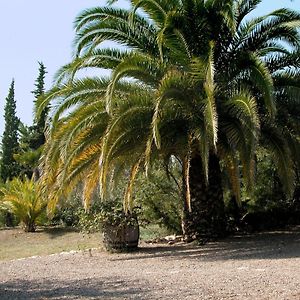 Catalunya Casas Rural Charm On An Olive Farm In Costa Dorada! Vespella de Gaia Exterior photo