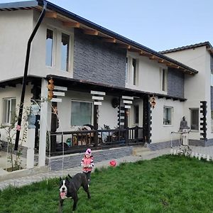 “ Casa Saryl “ Targu Ocna Apartment Exterior photo