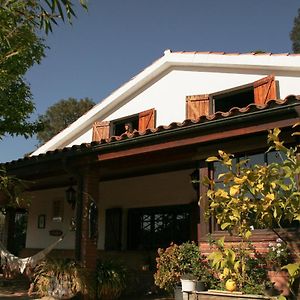 Casa Magnolia Villa Dosrius Exterior photo