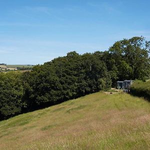 Secluded Shepherds Hut, With A View And Hot Tub Ashburton Exterior photo