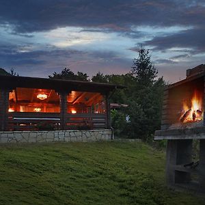 Cabana Poiana Verde Slanic-Moldova Exterior photo