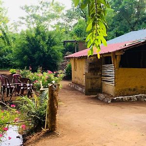 Eco Lodge Meemure & Adventure Park Mimure Exterior photo