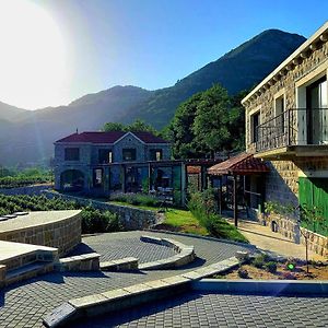 Markovic Winery And Estate Apartments Cetinje Exterior photo