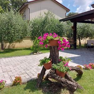 Tra La Terra E Le Stelle Hotel Assisi Exterior photo