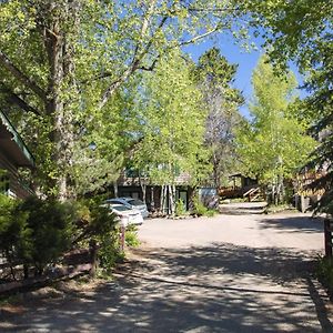 Sunnyside Knoll- 16 Cabin Villa Estes Park Exterior photo