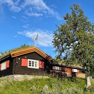 Elveseter - Log Cabin With An Amazing View Villa Lunde  Exterior photo