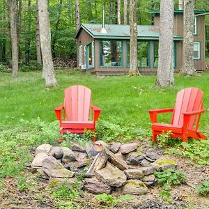 Secluded Upstate Ny Forest Cottage On 33 Acres! Oneonta Exterior photo