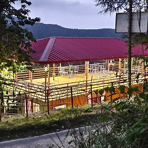 Hotel Chakrata Green And Camping Exterior photo