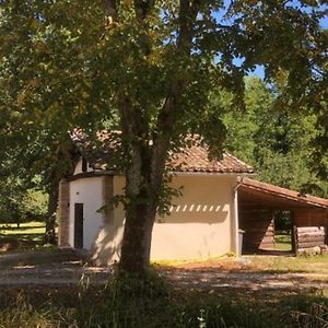 Eco-Gite En Pleine Nature Apartment Lisle-sur-Tarn Exterior photo