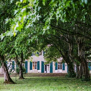 Chemin Des Dames - Gite Villa Montauban Exterior photo