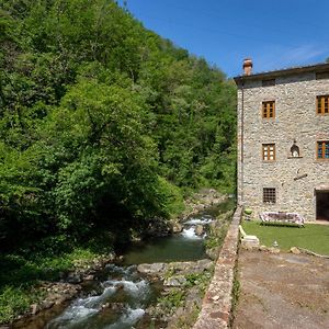 Mulino Del Rossino By Vacavilla Pescia Exterior photo