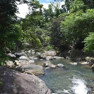 La Casita Aesthetic Comfy House El Yunque Villa Campamento Eliza Colberg Exterior photo