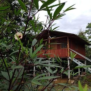 Cabana En El Bosque Guest House Coto Brus Exterior photo