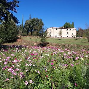 Les Jardins De Falguiere Hotel Saint-Jean-du-Gard Exterior photo