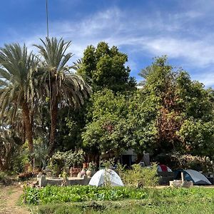 Salatoos Mango Camp Hotel Aswan Exterior photo