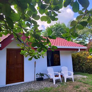 Casa Osa Azul Guest House Puerto Jimenez Exterior photo