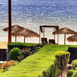 Luxury Beachfront Villa With Private Pool, Yoga & Sea Adventures Larnaca Exterior photo
