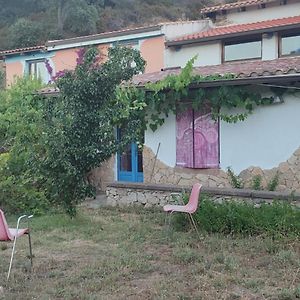 Il Nuraghe Bed & Breakfast Arbus Exterior photo