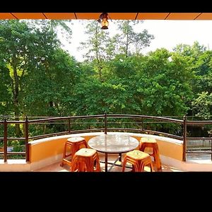 Rhinoceros Homestay Sauraha Exterior photo