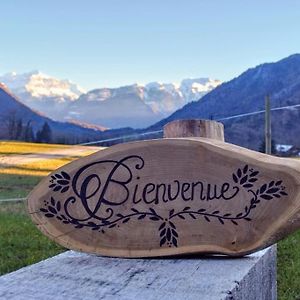 Elegant Studio Tout Confort Vue Mont Blanc Saint-Jeoire Exterior photo