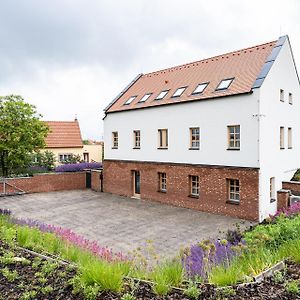 Penzion Nad Pavlovem Hotel Exterior photo