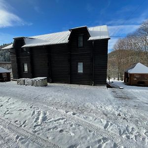 Karpatskyy Villa Rozluch Exterior photo