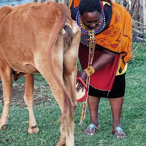 Nashipa Homestay Maasai Mara Sekenani Exterior photo