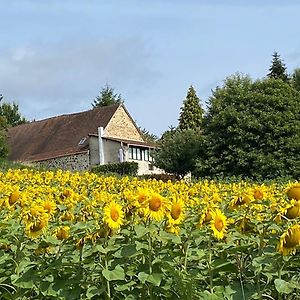 Bonnes Routes - 4 Star Gite In The Perigord Vert Villa La Coquille Exterior photo