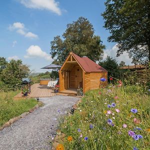 Dol Y Mynydd The Mountain Meadow-Qu7521 Villa Llangerniew Exterior photo