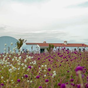Monte De Palma- Quinta Biodinamica Momentos Unicos Villa Evora Exterior photo