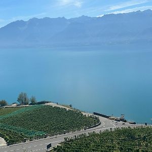 Room With 360° View Overlooking Lake Geneva And Alps Puidoux Exterior photo