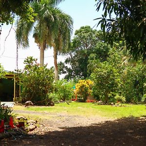 La Casa De Vida Natural Bed & Breakfast Rio Grande Exterior photo