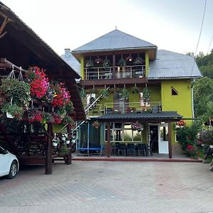 Pensiunea Gaiu Hotel Albac Exterior photo