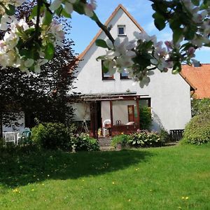 Freistehendes Ferienhaus In Adendorf Mit Terrasse, Grill Und Garten - B48664 Villa Exterior photo